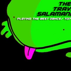 The Time Traveling Salamanders