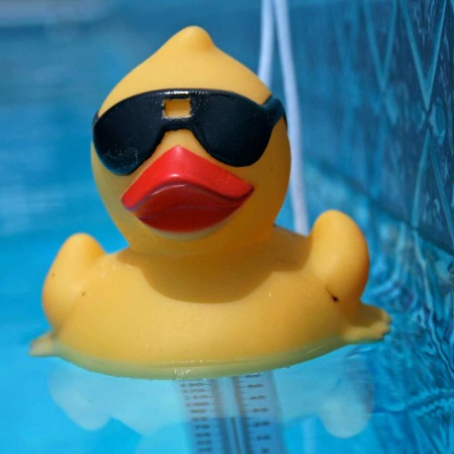 Stream Rubber Duck Studio music Listen to songs, albums, playlists