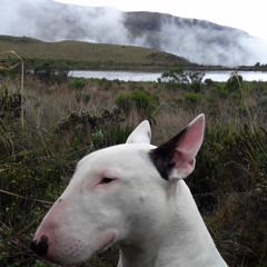 Santiago Castaño Escobar