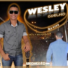 Wesley Coelho