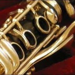Clarinetista CCB