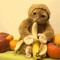 Monkeycat