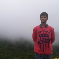NarasimhaReddy.Venna