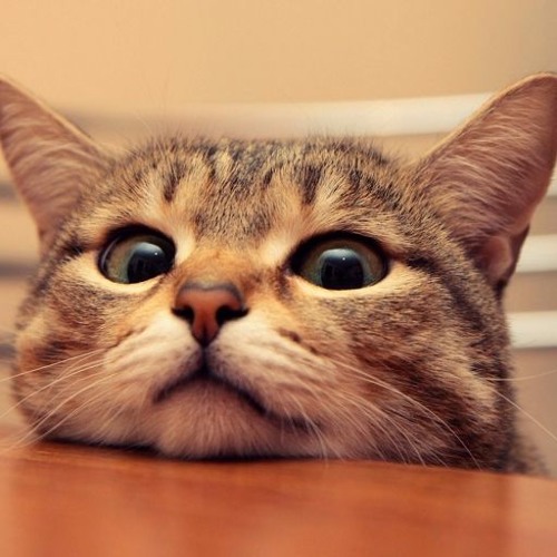 I61 X JEEMBO X Boulevard Depo X Killah Tveth X Basic Boy X GLEBASTA SPAL - IRAQ