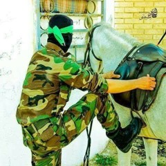 يا ابن الاقصى يا حبيب