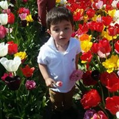 Osman Anez