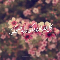 حلقات أسلوب