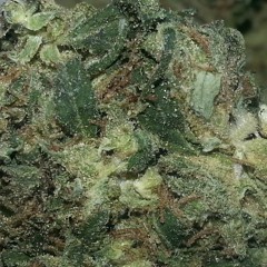 Marvelous Da Martian