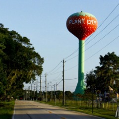 Los 813