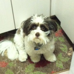 Robbie R-a W Biederman