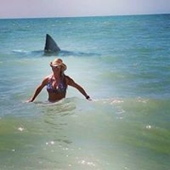 Mindy Mueller