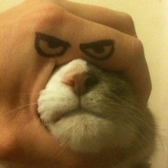 Fundus Trumpus Grumpus