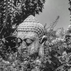 Odd Gautama