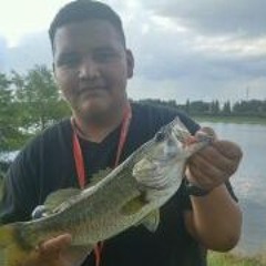 austin.rivera
