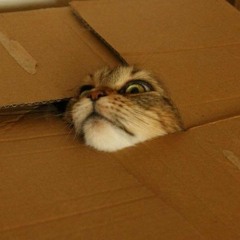 ilikewatchingyougo