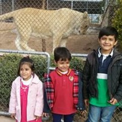 Bilal Ahmed