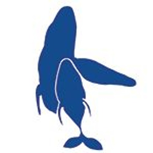 WhaleTrustMaui’s avatar