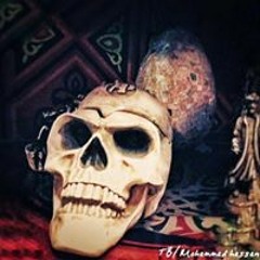 Kareem Shokry Habieb