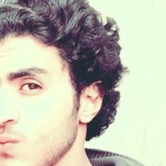 Youssef H ElGhareeb