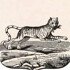 OTXAPKA