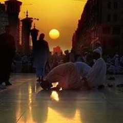 محمد الصياد