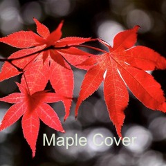 Maple Cover 2