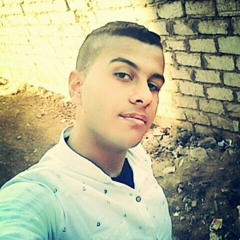 Ahmed Salah Ashmawy