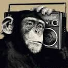 soundbruzer