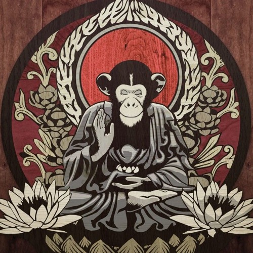 Drunken Monkey | Free Listening on SoundCloud