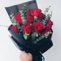 Clarina Ayu Febriani