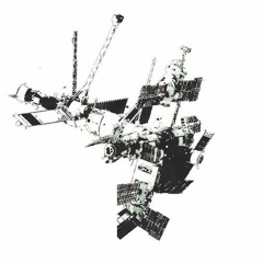 sylvester loop