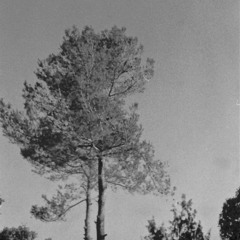 viskoviskovisko