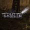 Termite