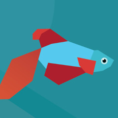 Little Fish
