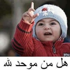 AlAm 2