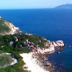 Trần Việt