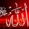 مصطفی رحمانی