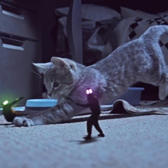 Lasse Korvig Bjerregaard