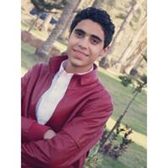 Farouk Elmasry