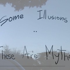 Some Illusions