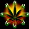 Smoke weed everyday