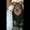 lesliieallday