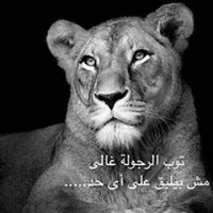 Ahmed Hamoda