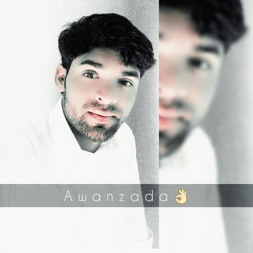 Majid Nawaz Awan’s avatar