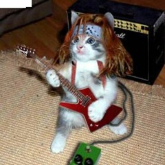Metallicat Repost
