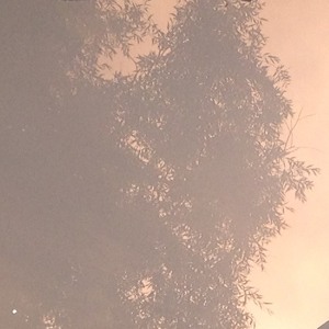 🔴 Kutter bei die Fische