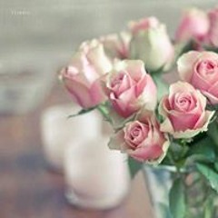سلوى حجاج