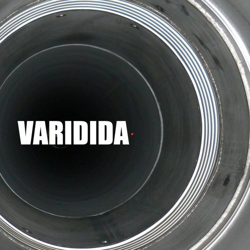 VARIDIDA’s avatar