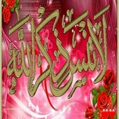 Mohamed Elfoly