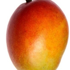 The Mango Ninja